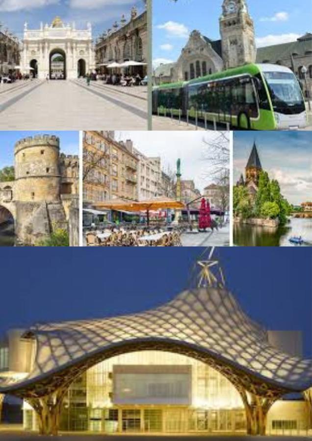 Le Muse Quartier Ville Proche Transport Parking Prive Un-Sejour-A-Part 梅斯 外观 照片